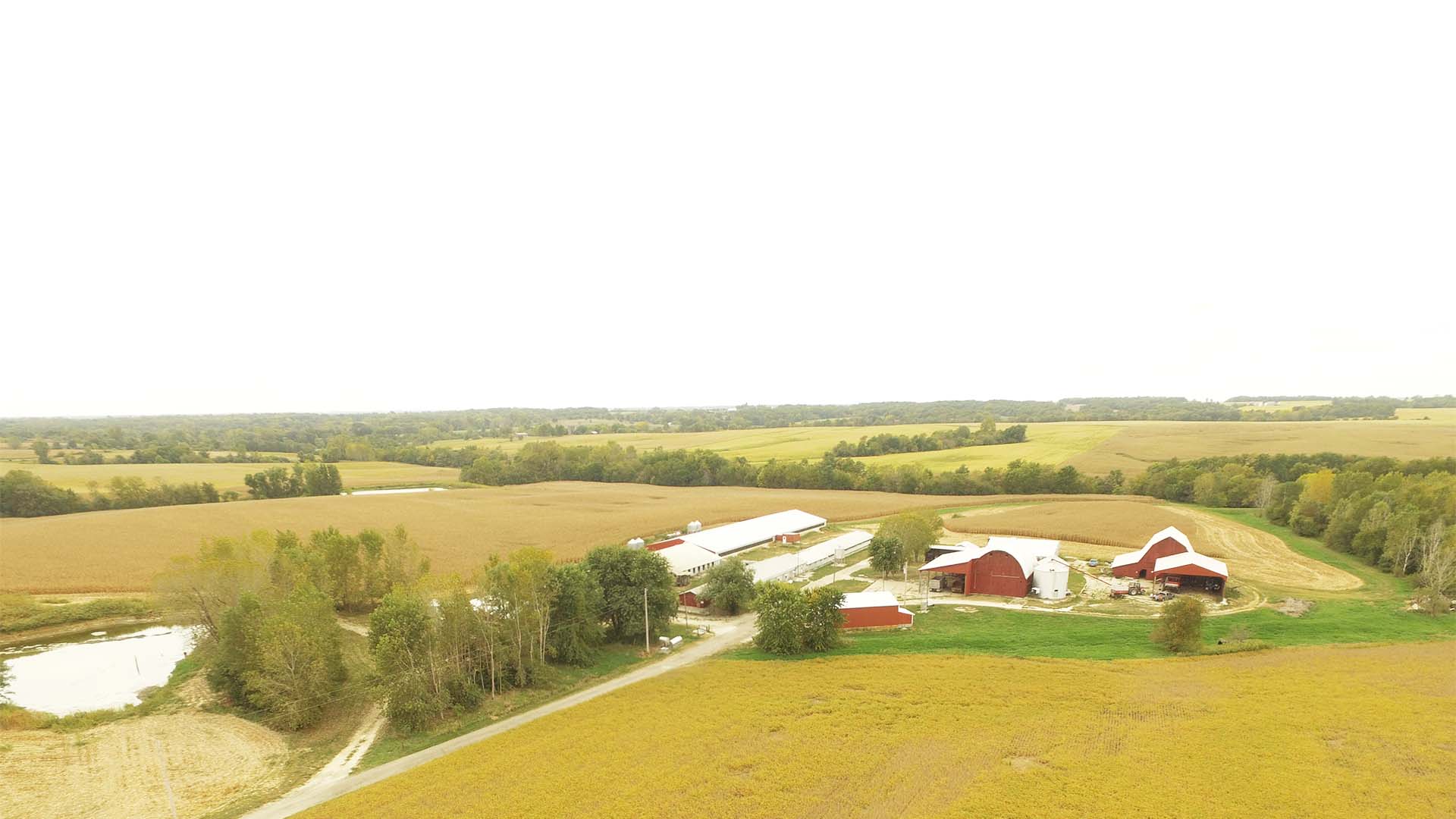 The Philip Bradshaw Farm
